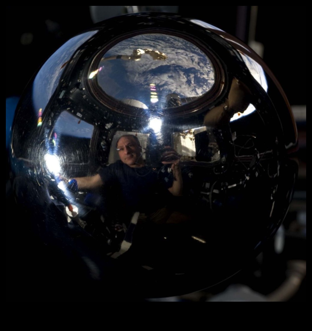 Orbitālās Odes Astronautu dzeja plašajā nezināmajā 5 Orbitālās Odes: astronautu dzeja plašajā nezināmajā